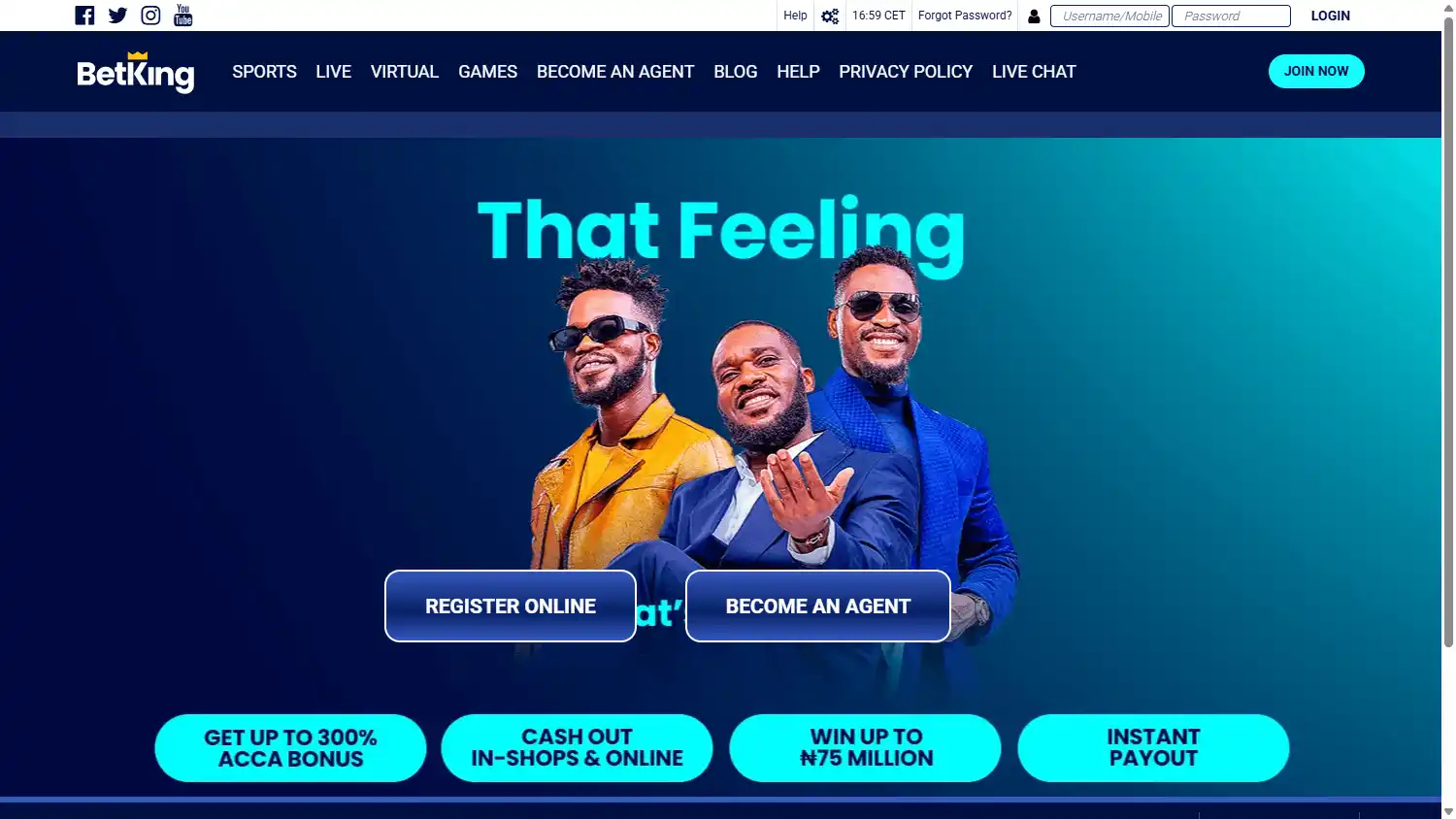 BetKing Casino screenshot 1