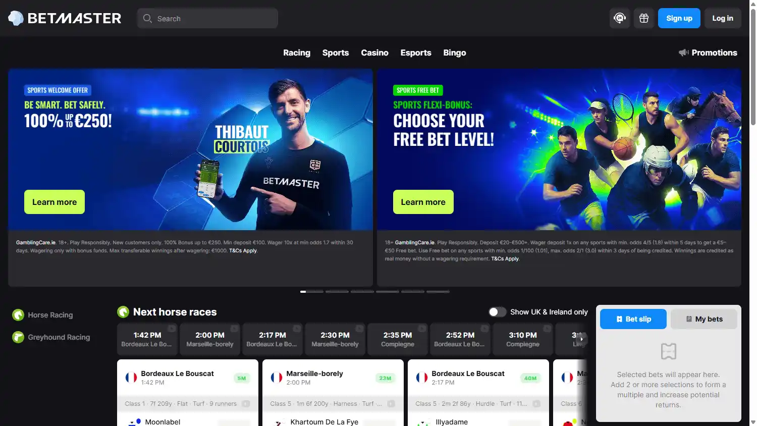 Betmaster Casino screenshot 1