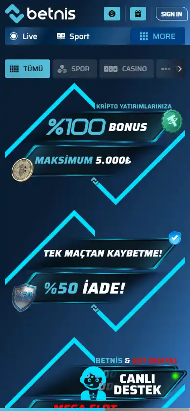 Betnis Casino screenshot 5