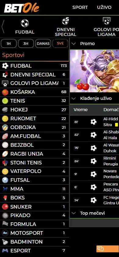 Betole Casino screenshot 4