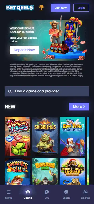 Betreels Casino screenshot 4