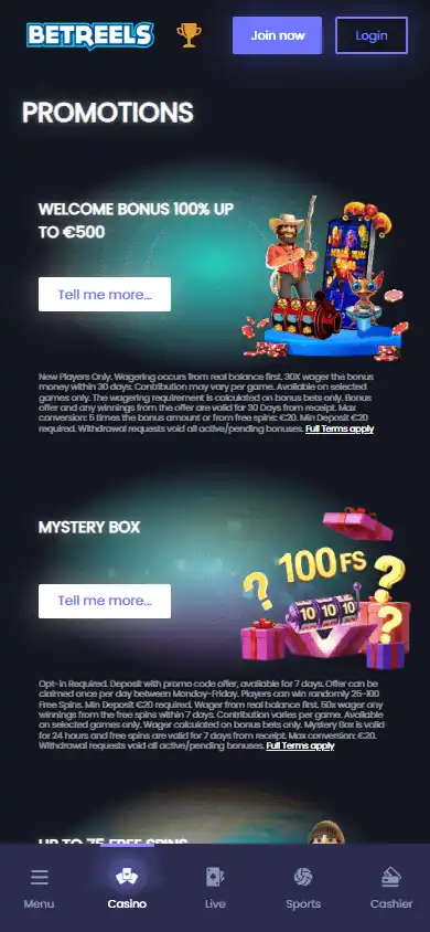 Betreels Casino screenshot 6