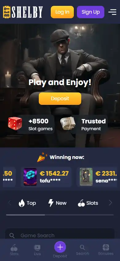 Betshelby Casino screenshot 4