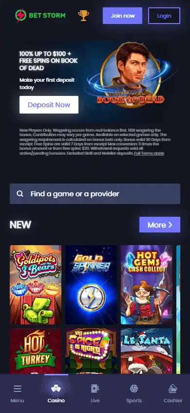 BetStorm Casino screenshot 4