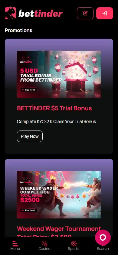 Bettinder Casino screenshot 6