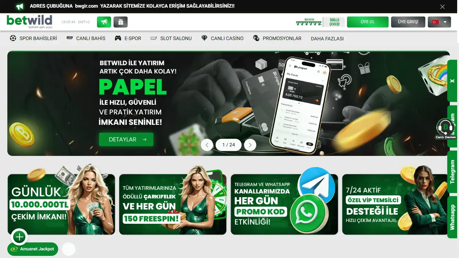 Betwild Casino screenshot 1