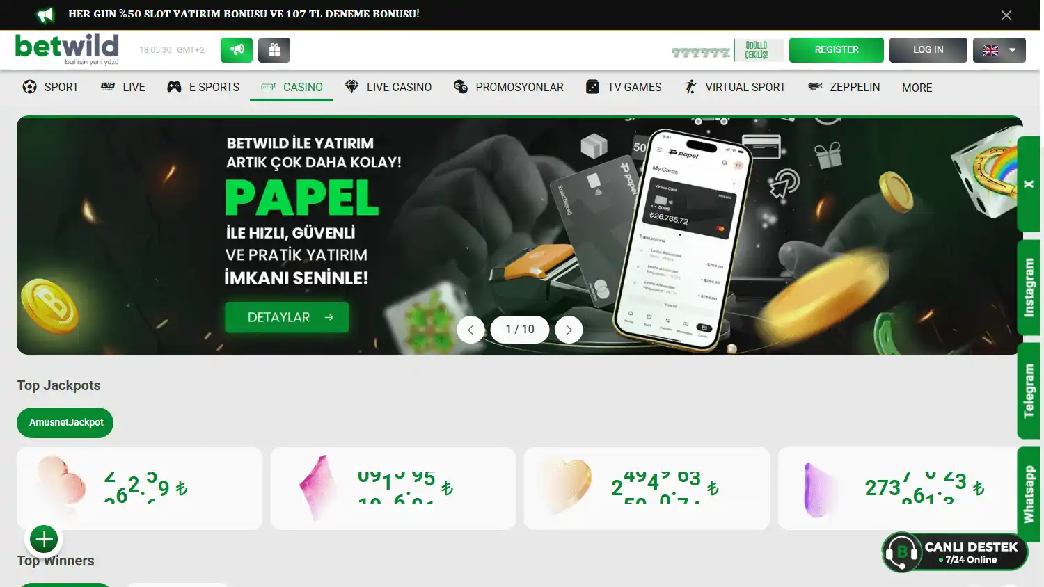 Betwild Casino screenshot 2