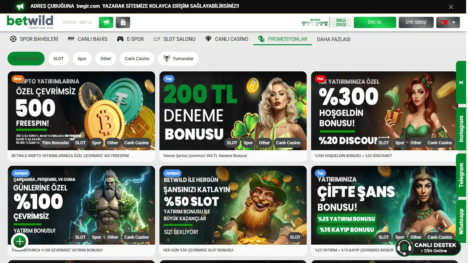 Betwild Casino screenshot 3