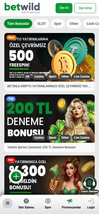 Betwild Casino screenshot 6