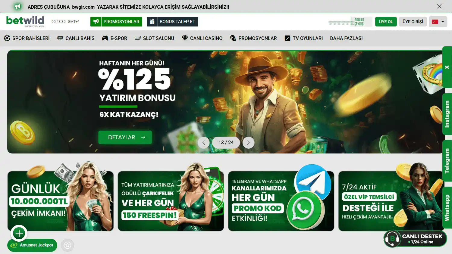 BetWild365 Casino screenshot 1