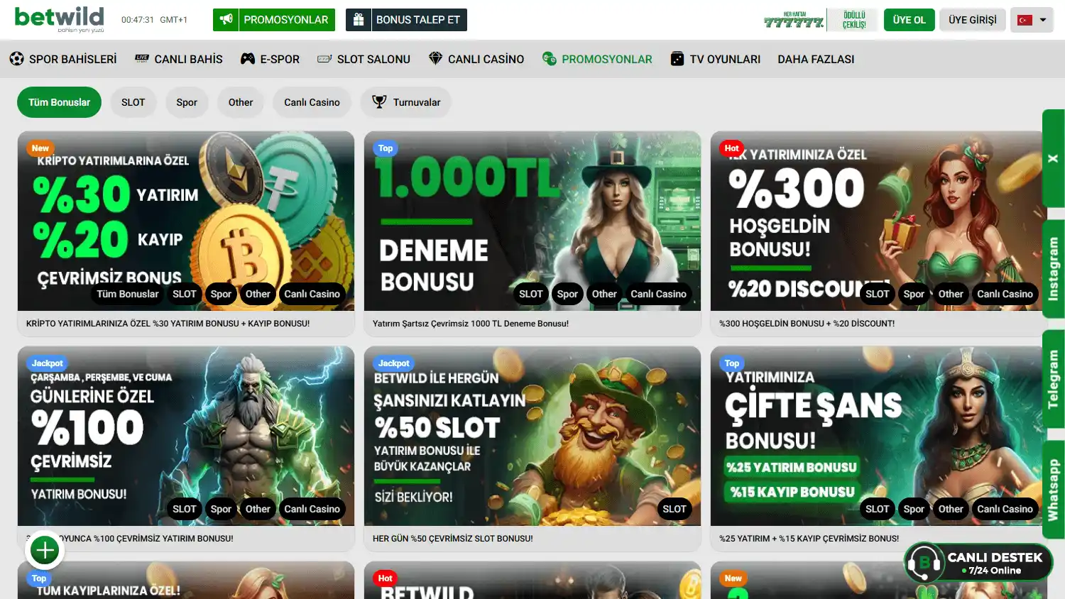 BetWild365 Casino screenshot 3