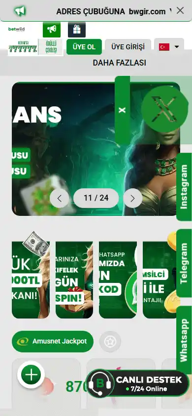 BetWild365 Casino screenshot 4