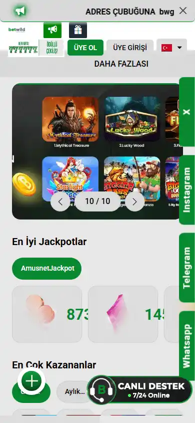 BetWild365 Casino screenshot 5