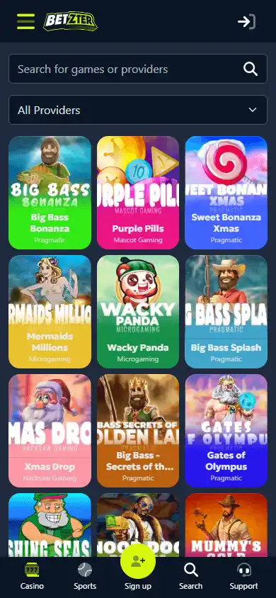 Betzter Casino screenshot 5