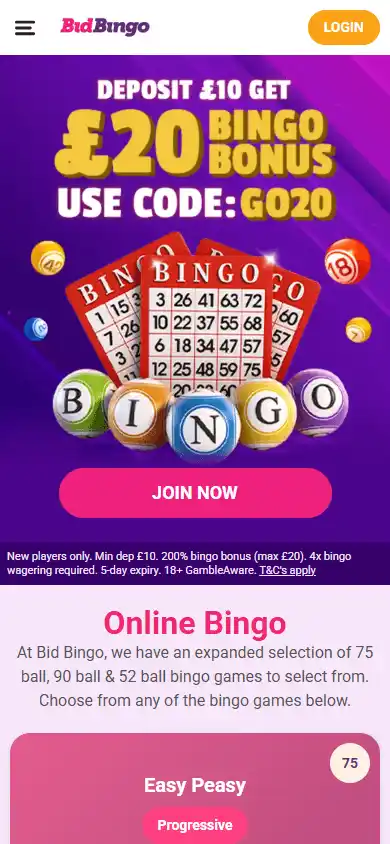 Bid Bingo Casino screenshot 3