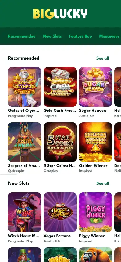 Big Lucky Casino screenshot 3