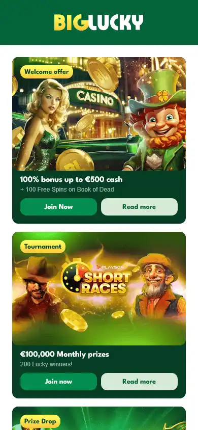 Big Lucky Casino screenshot 4