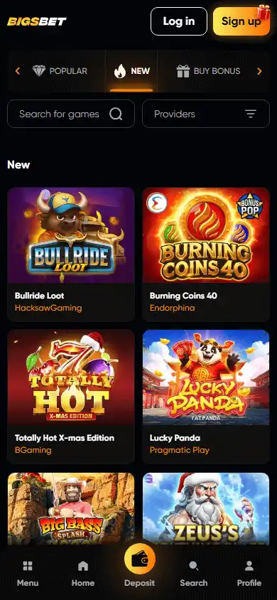 Bigs.bet Casino screenshot 5