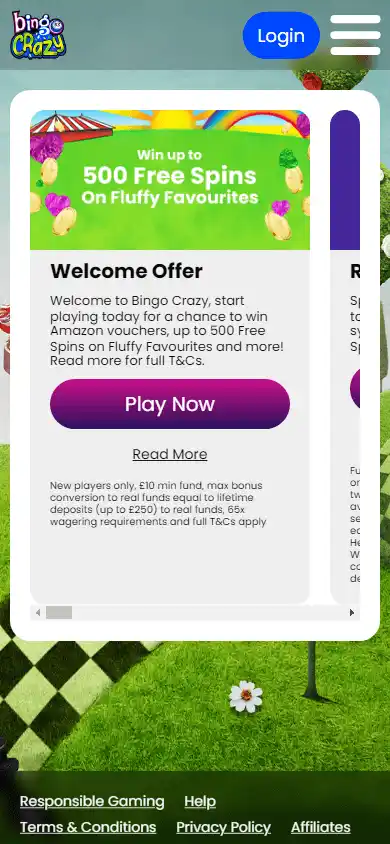 Bingo Crazy Casino screenshot 6