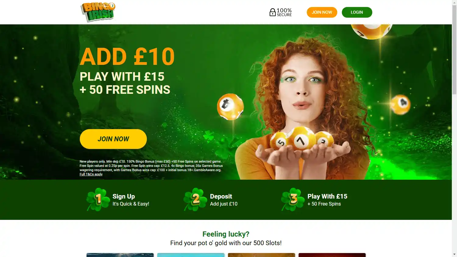 Bingo Irish Casino screenshot 1