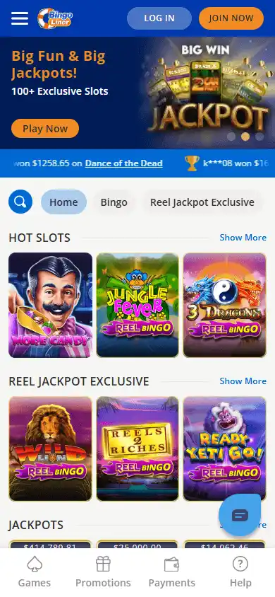 Bingo Liner Casino screenshot 4