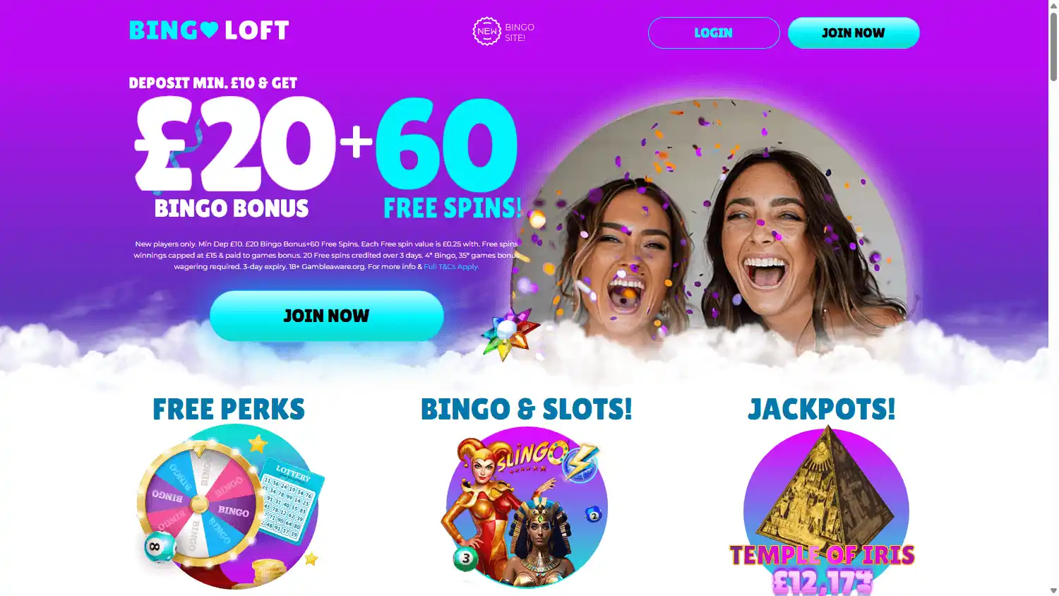 Bingo Loft Casino screenshot 1