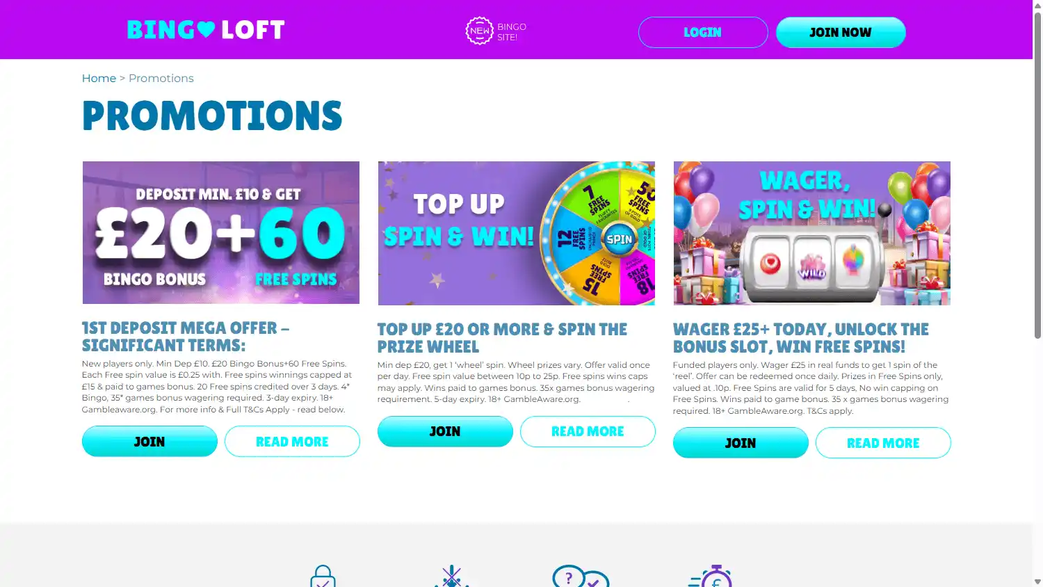 Bingo Loft Casino screenshot 2