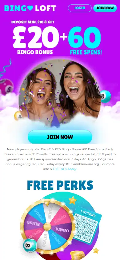 Bingo Loft Casino screenshot 3