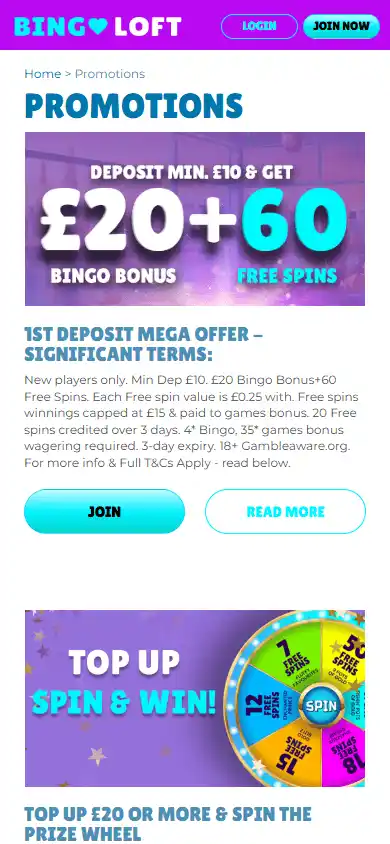 Bingo Loft Casino screenshot 4