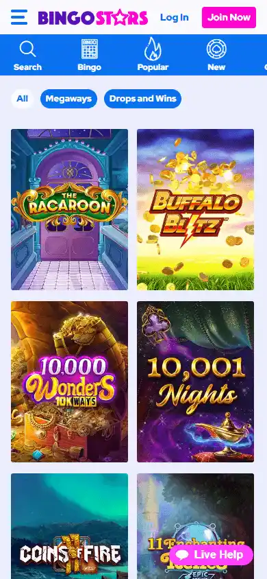 Bingo Stars Casino screenshot 5