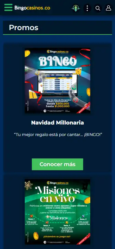 BINGOCASINOS.CO screenshot 6