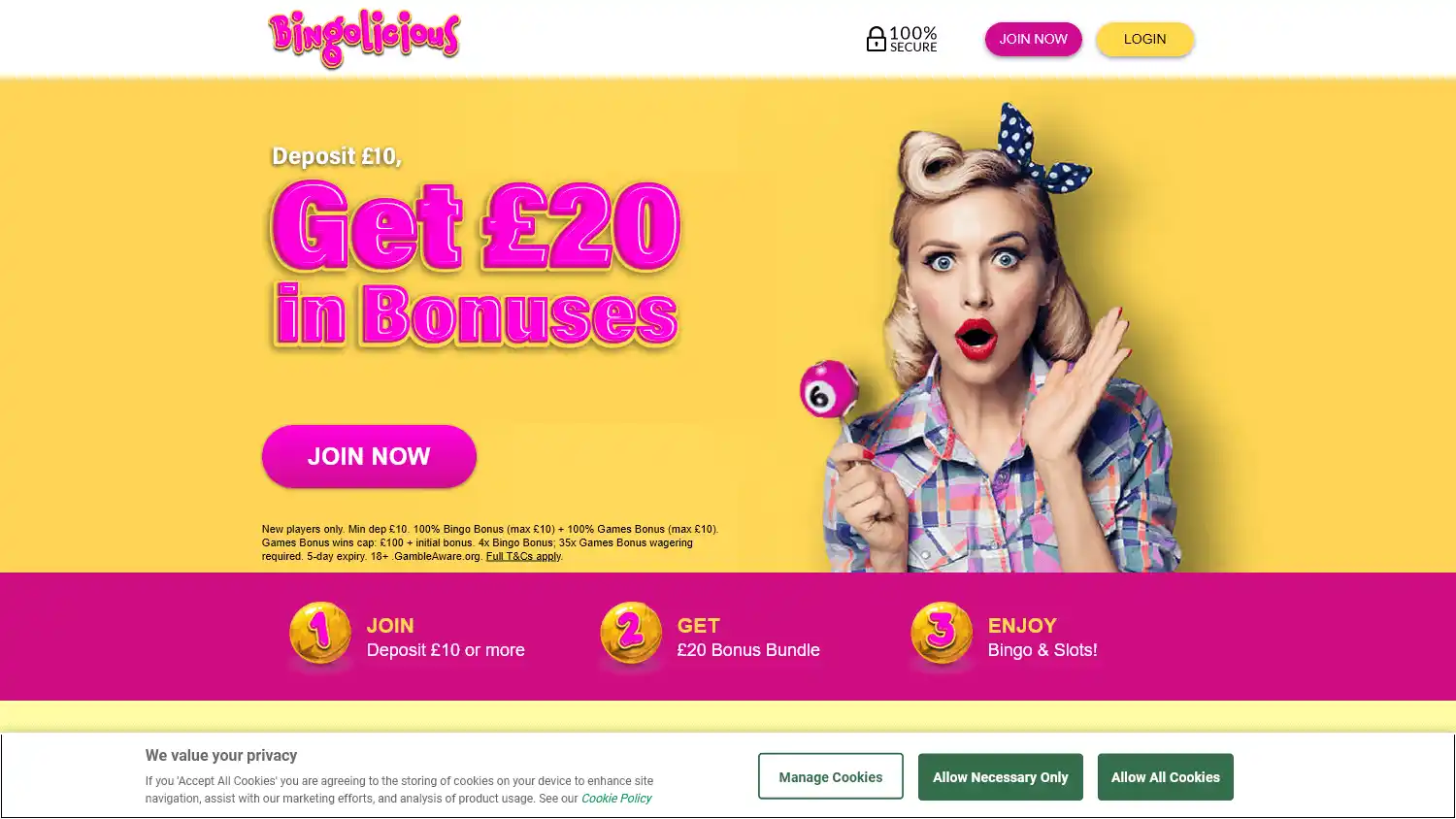 Bingolicious Casino screenshot 1