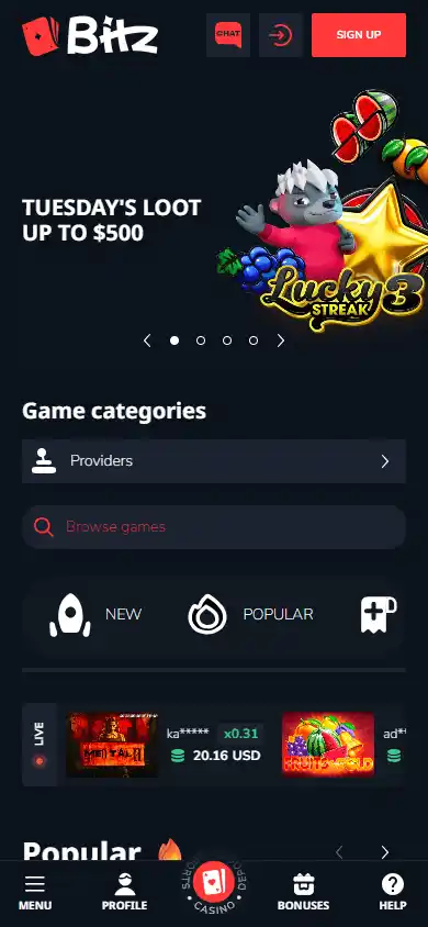 Bitz Casino screenshot 5