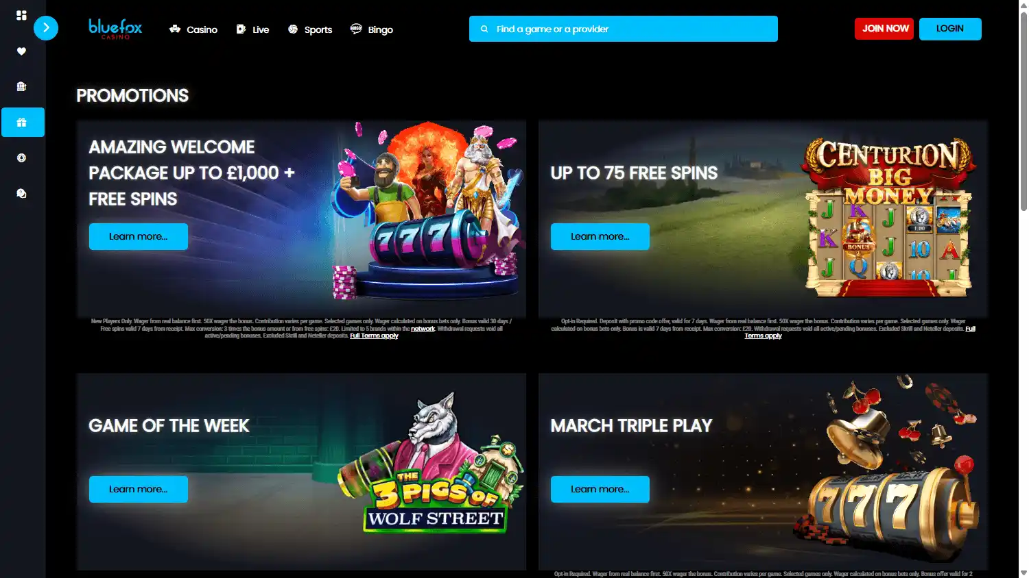 BlueFox Casino screenshot 3