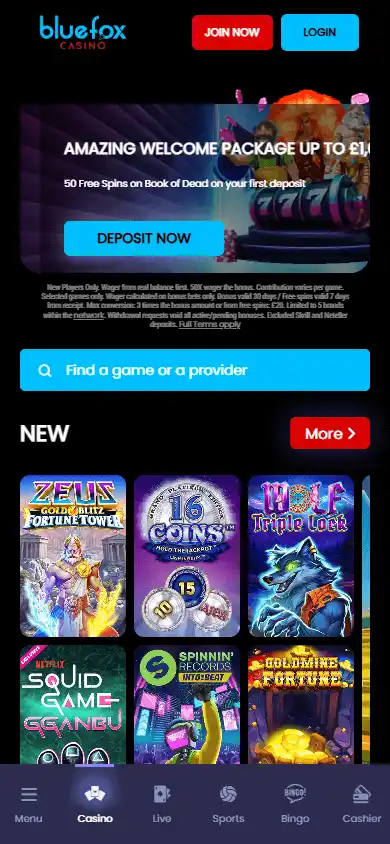 BlueFox Casino screenshot 4