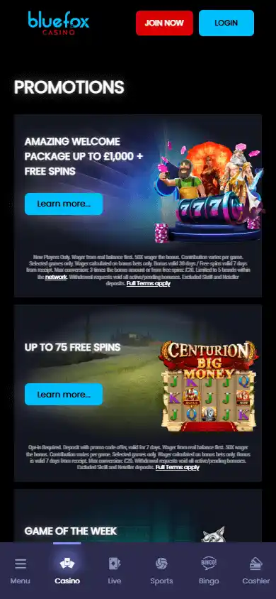 BlueFox Casino screenshot 6