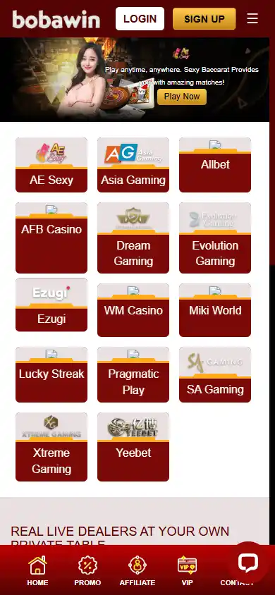Bobawin Casino screenshot 5
