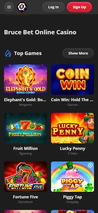 Bruce Bet Casino screenshot 5