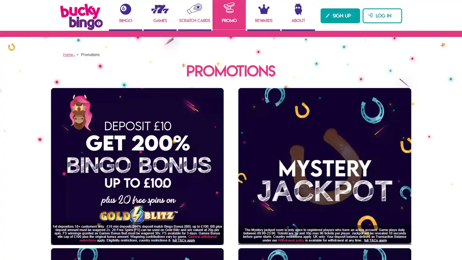 Bucky Bingo Casino screenshot 3