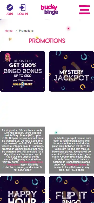 Bucky Bingo Casino screenshot 4