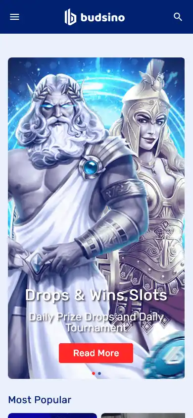 Budsino Casino screenshot 5