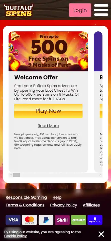 Buffalo Spins Casino screenshot 6