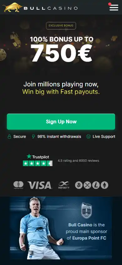Bull Casino screenshot 3