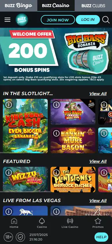 Buzz Casino screenshot 4