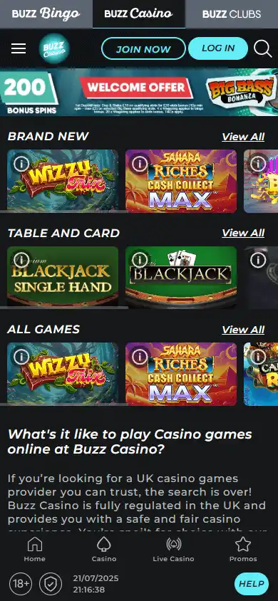 Buzz Casino screenshot 5