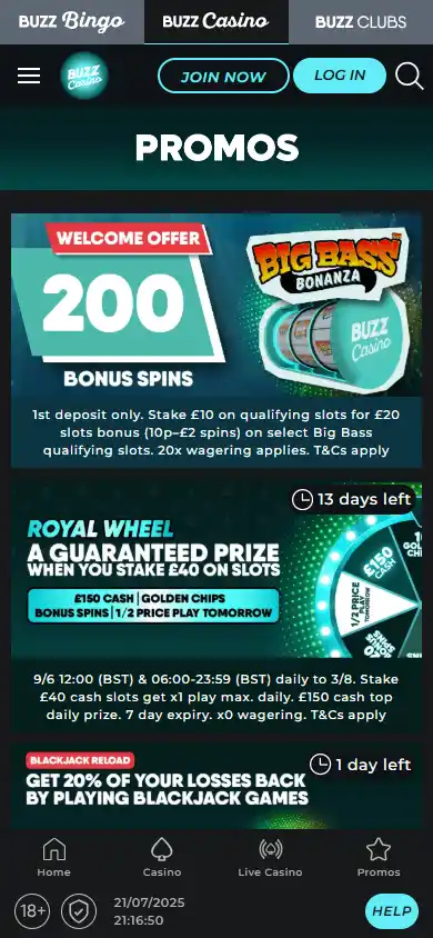 Buzz Casino screenshot 6