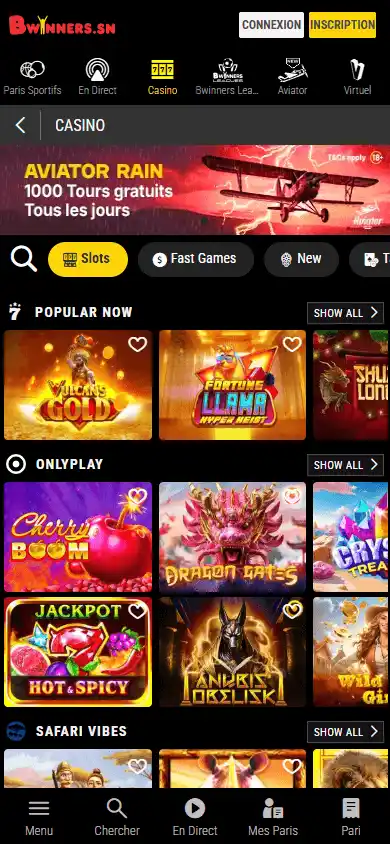 Bwinners Casino screenshot 5