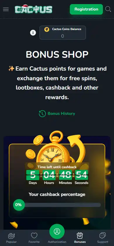 Cactus Casino screenshot 6