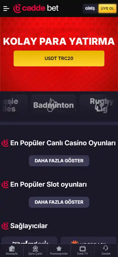 CaddeBet Casino screenshot 4