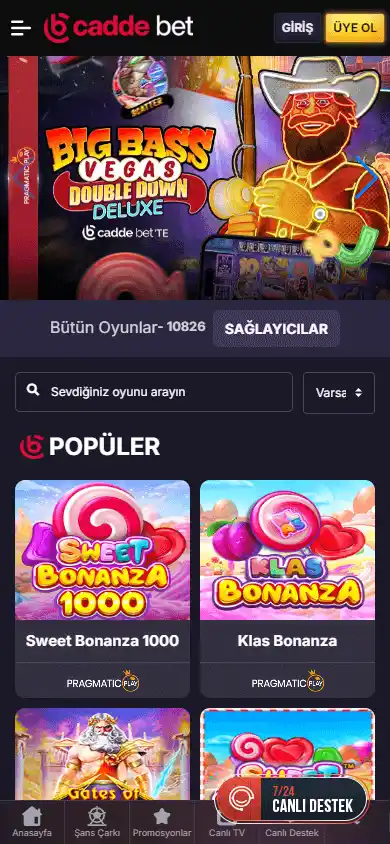 CaddeBet Casino screenshot 5